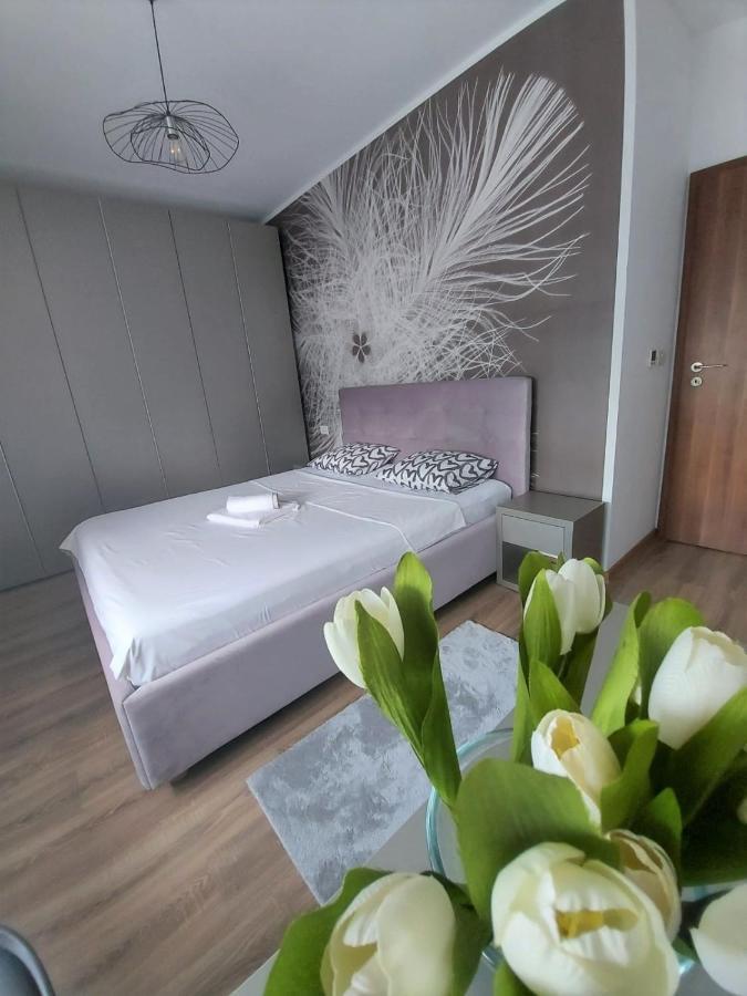 Dumbravita  Paula Apartment מראה חיצוני תמונה