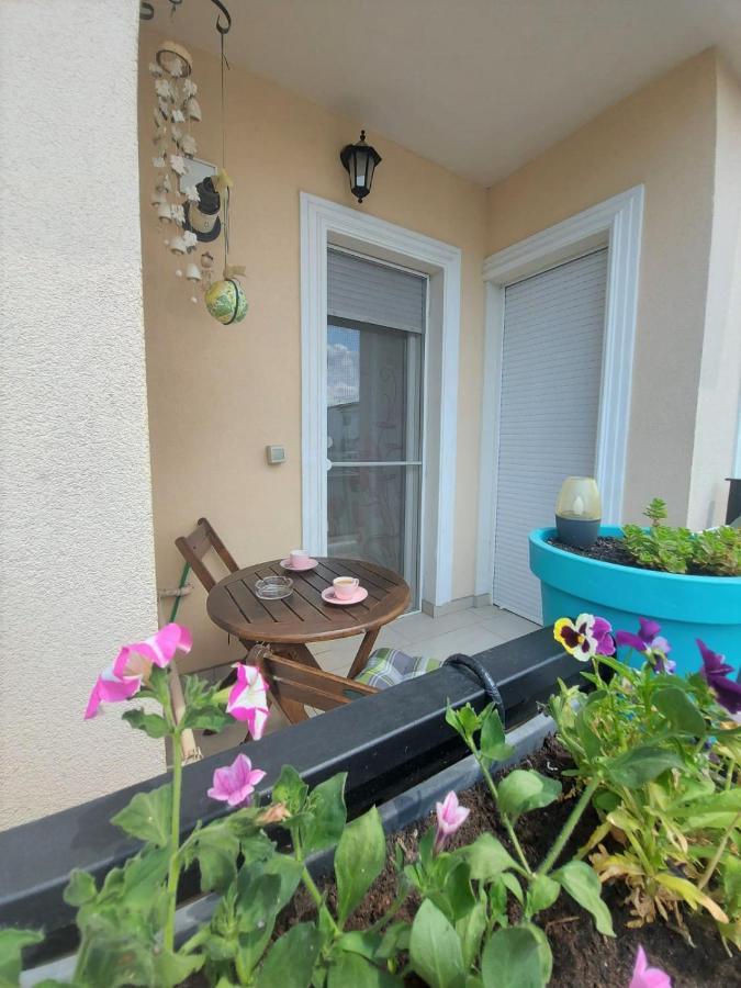Dumbravita  Paula Apartment מראה חיצוני תמונה