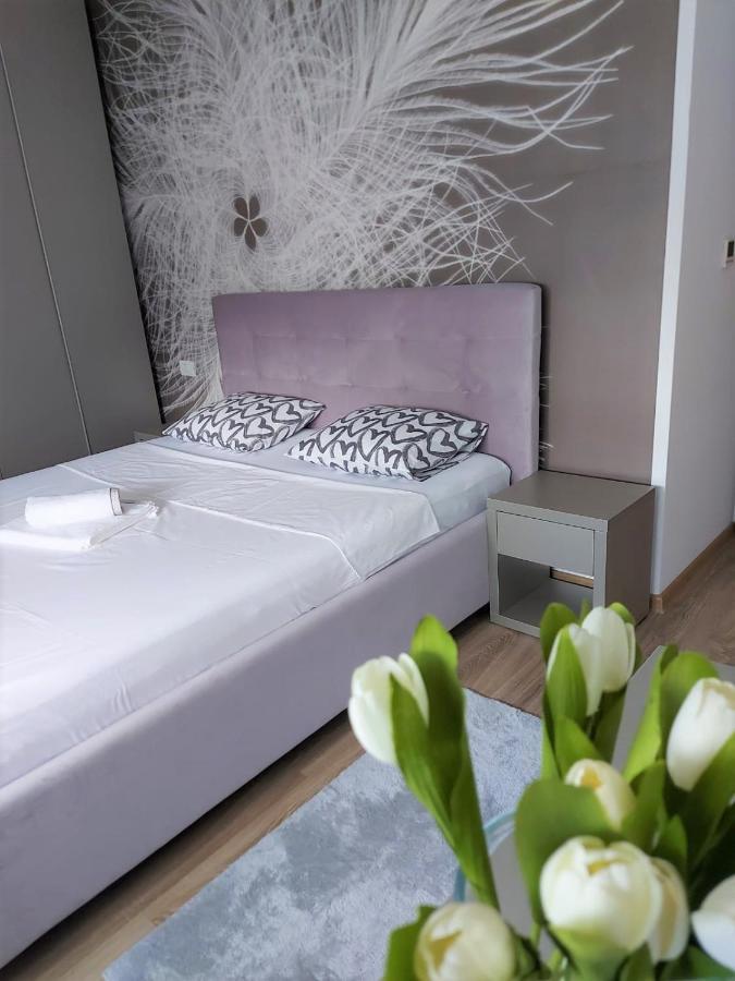 Dumbravita  Paula Apartment מראה חיצוני תמונה