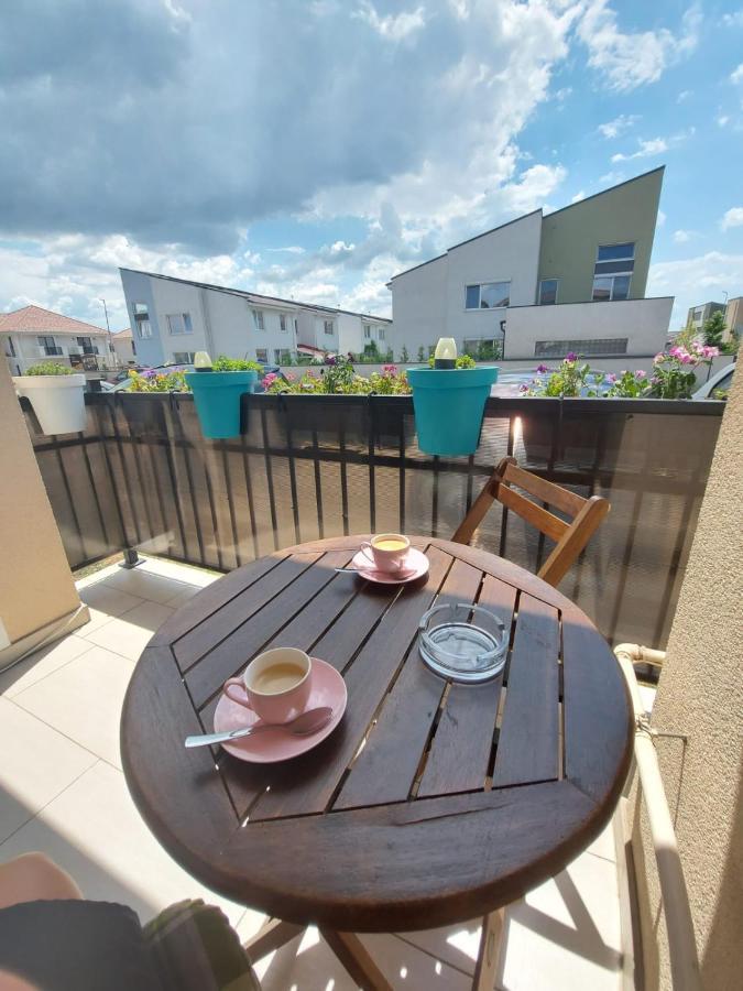 Dumbravita  Paula Apartment מראה חיצוני תמונה